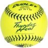 Dudley 12" USSSA WT 12 Thunder Heat Fastpitch Softballs (Dozen): 4U147Y -Baseball Supply Shop 4U147Y