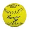 Dudley Thunder SY HYCON ICON NSA 12" Synthetic Slowpitch Softballs (DOZEN): 4E824Y -Baseball Supply Shop 4e824y x700 914fc859 f56b 4a2f 8a76 0c710fb438de