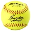 Dudley 12" NFHS Thunder Heat Fastpitch Softballs (Dozen): 43147 -Baseball Supply Shop Spalding Digital Assets 14147